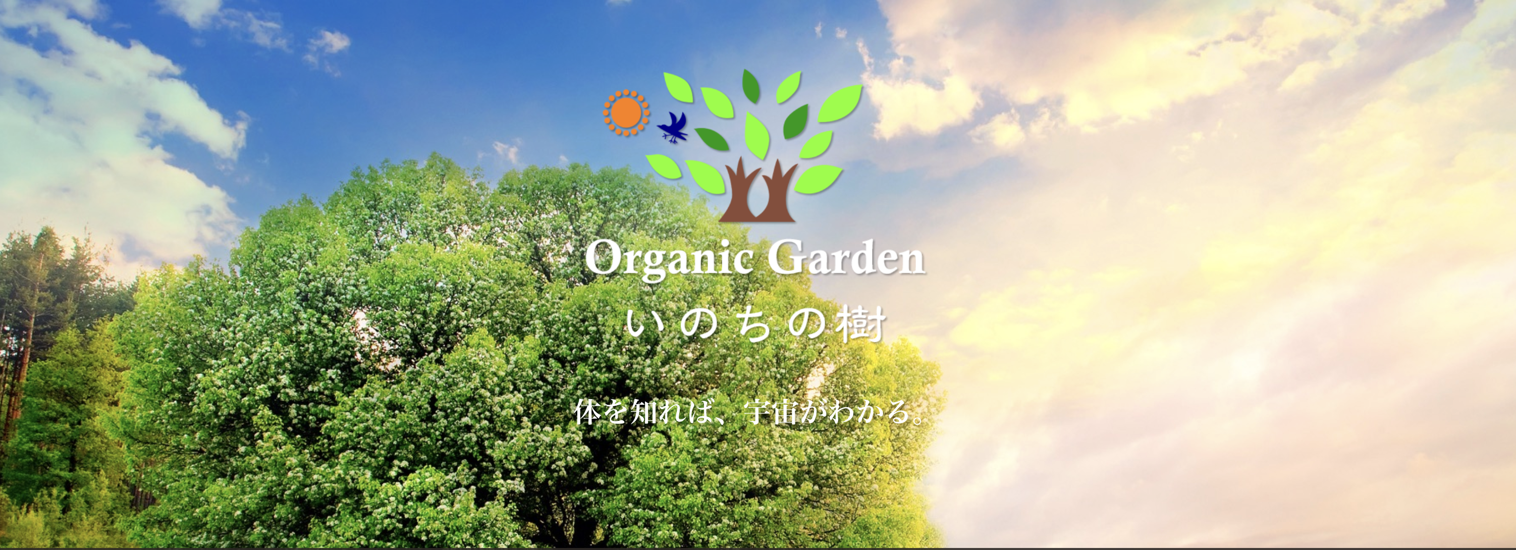 ツリー・オブ・ライフ株式会社