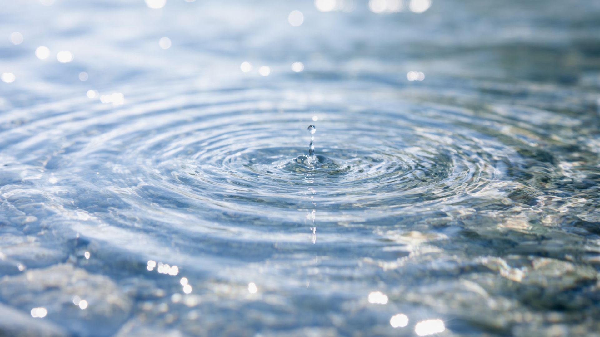 シリカと食物繊維の真実