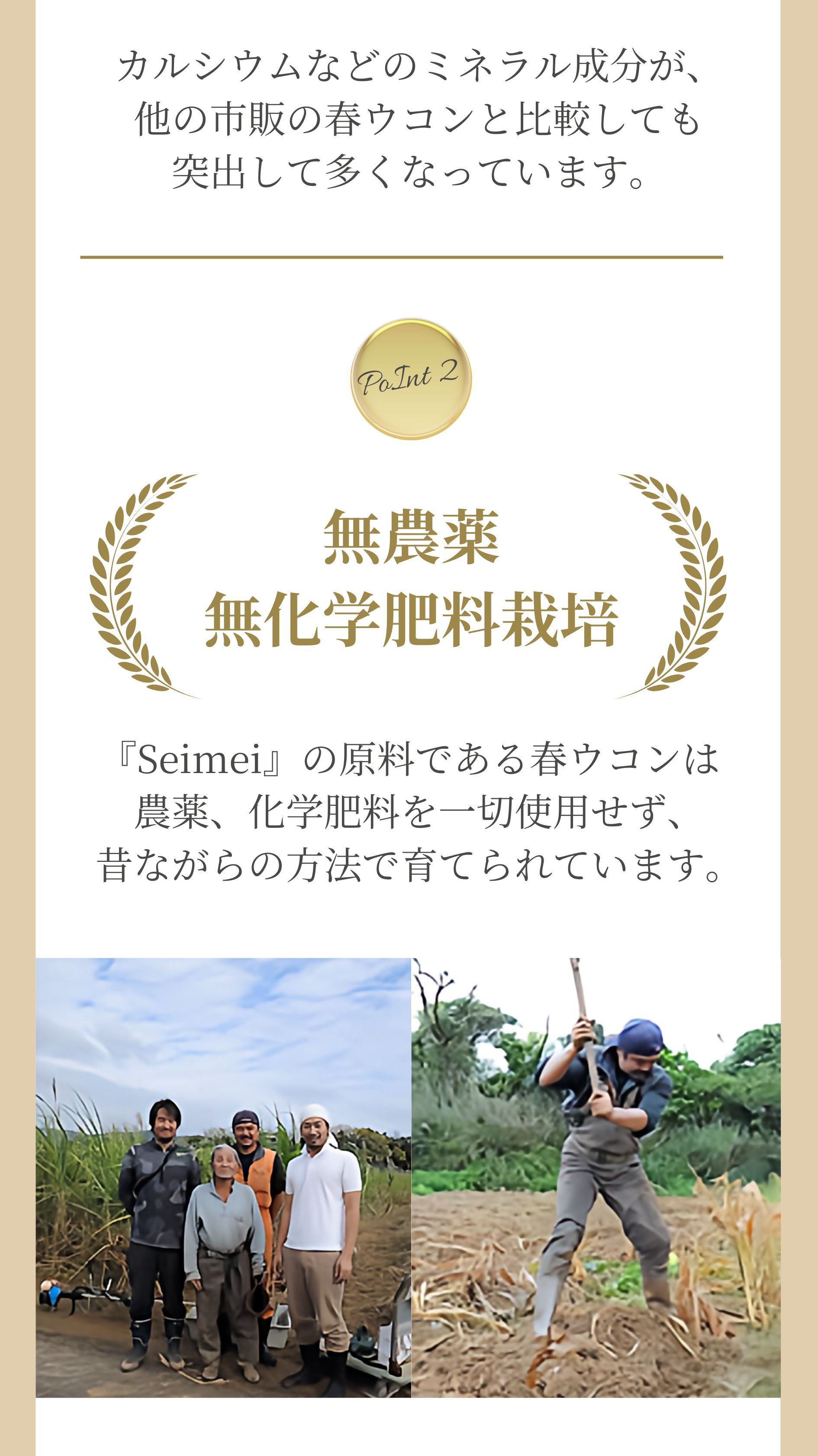 無農薬無科学肥料栽培