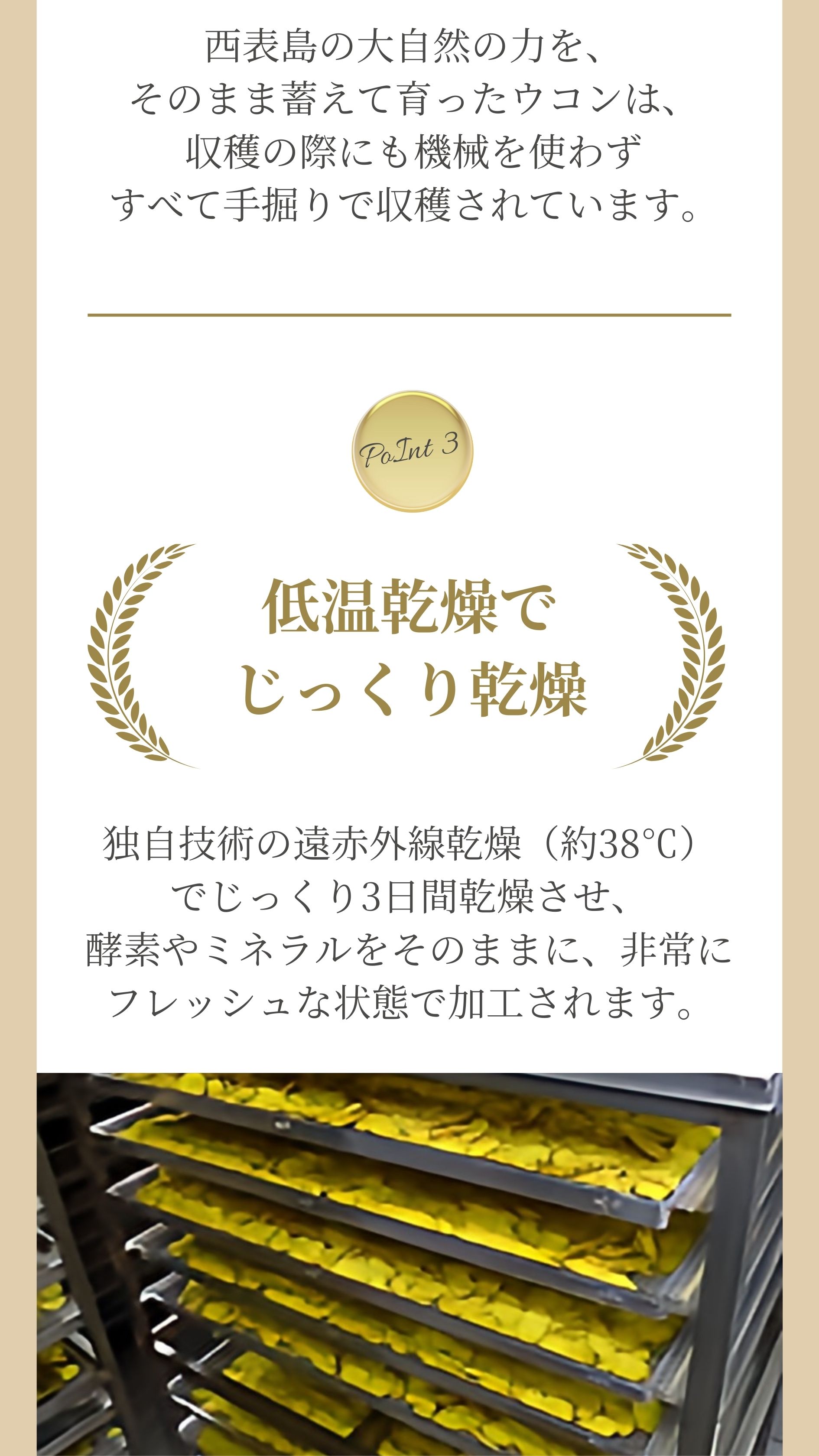 低温乾燥でじっくり乾燥