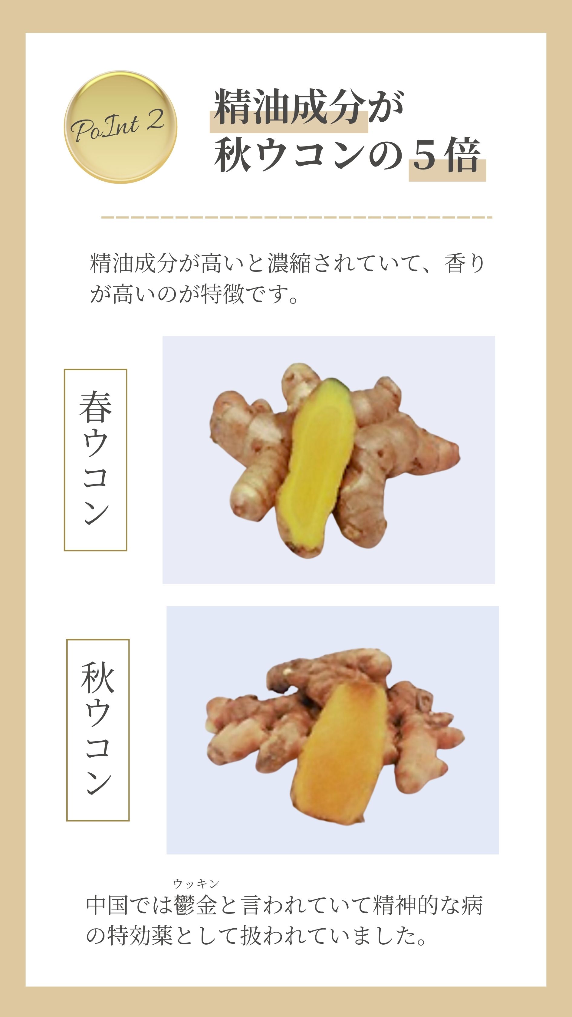 精油成分が秋ウコンの５倍
