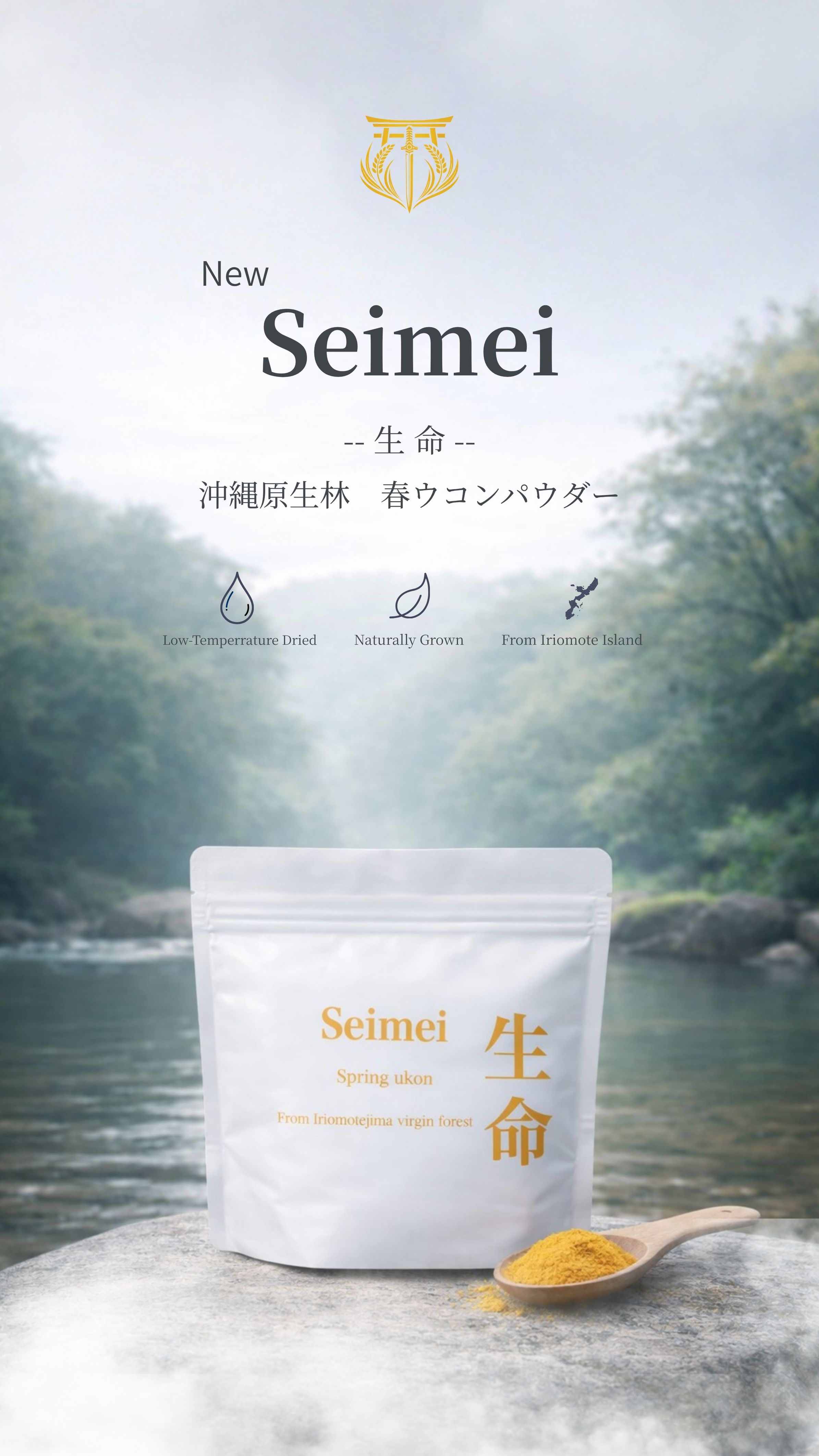原生林春ウコン