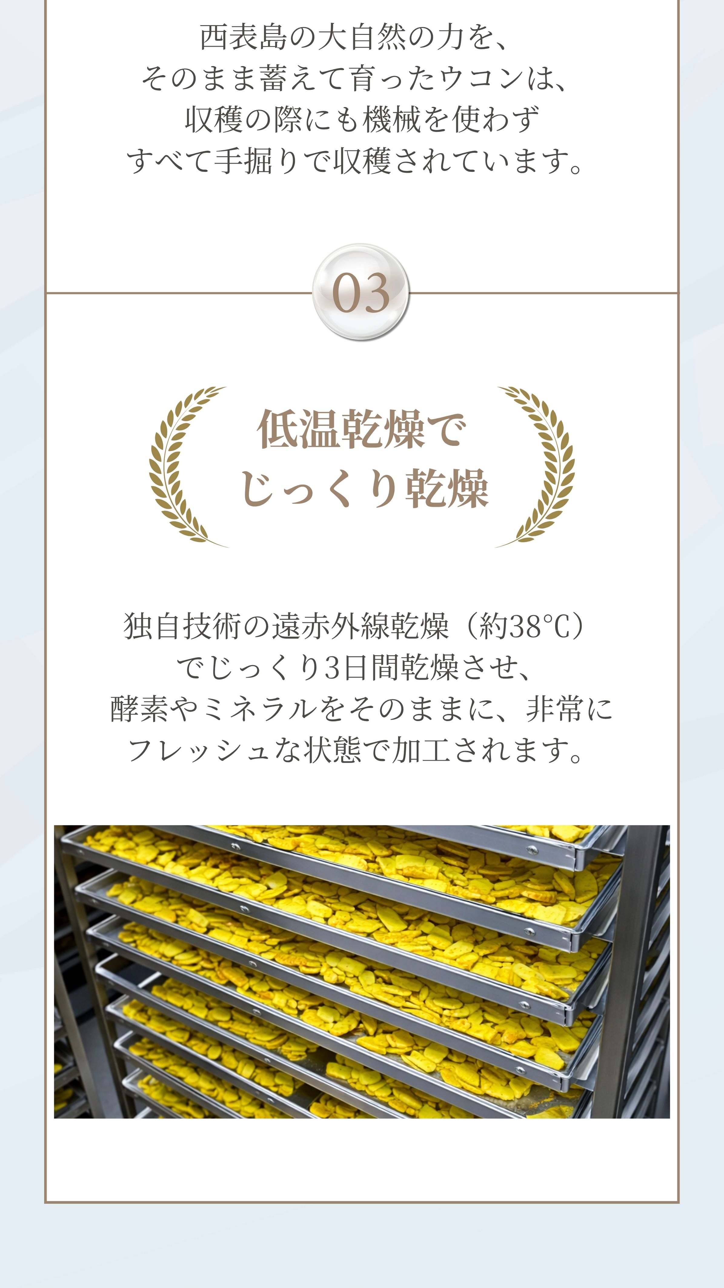 低温乾燥でじっくり乾燥