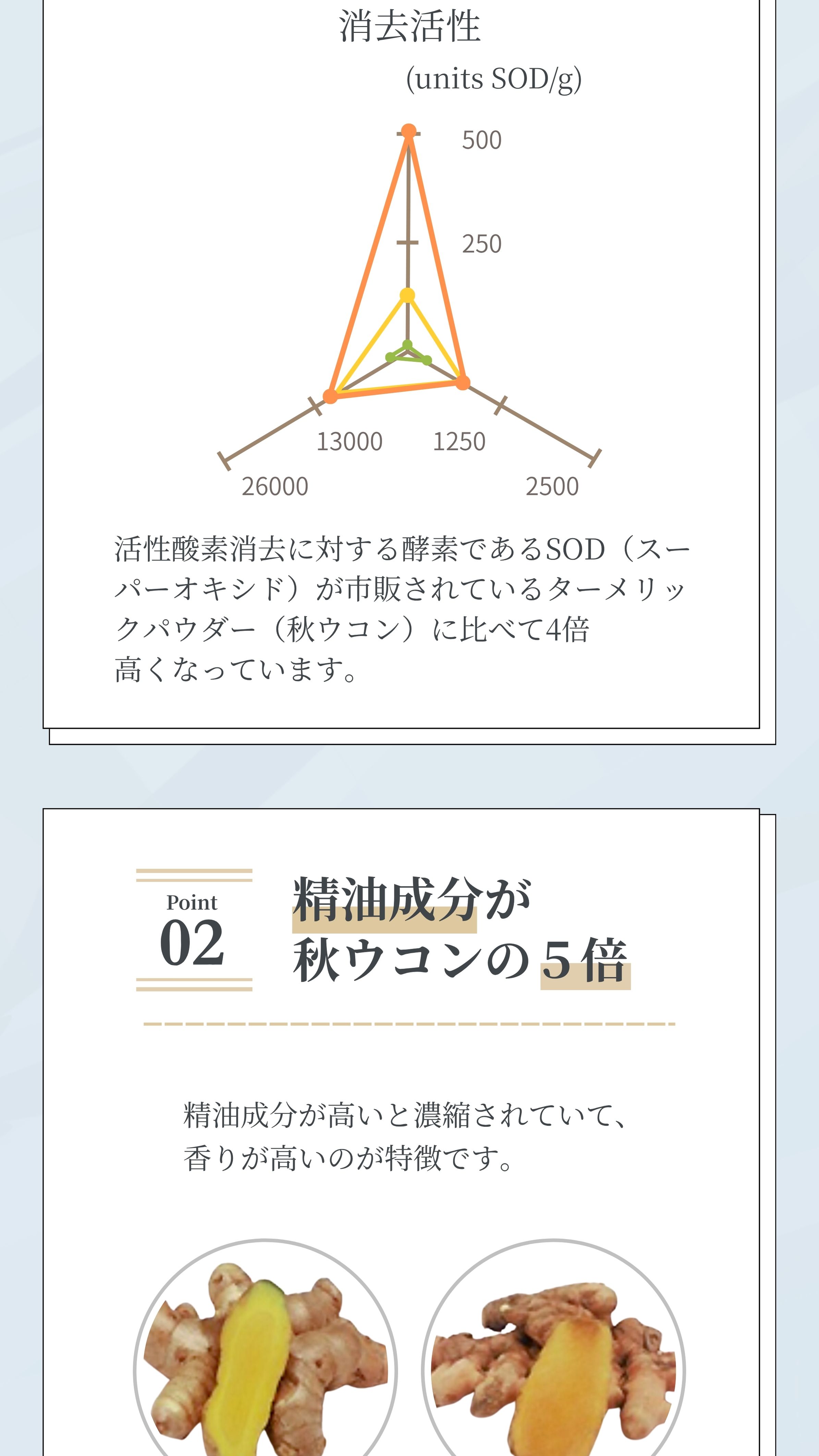 精油成分が秋ウコンの５倍
