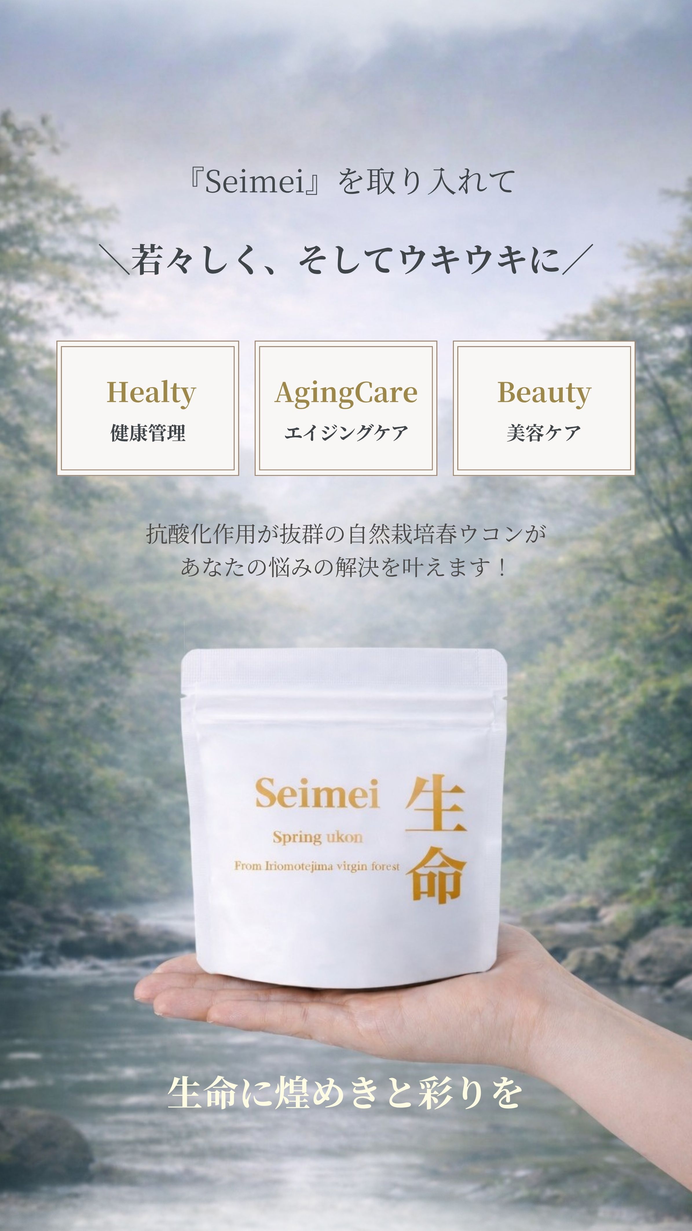 Seimeiを取り入れて