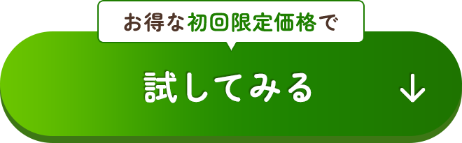 お得な初回限定価格で試してみる