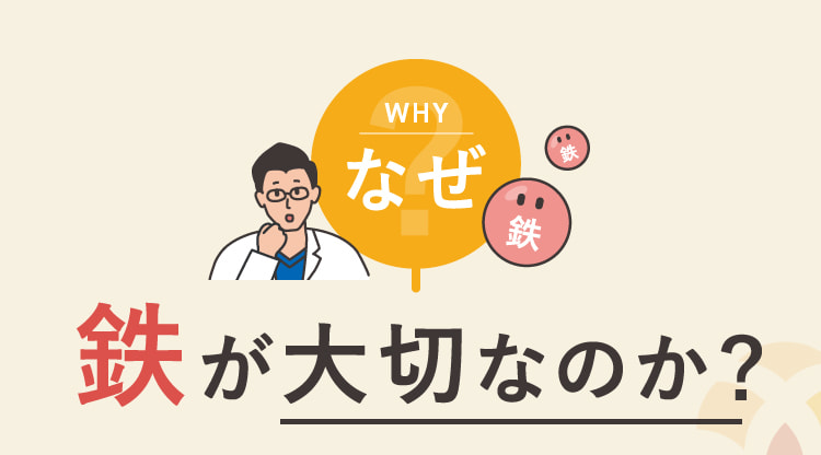 なぜ鉄が大切なのか？