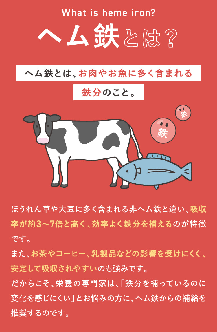 ヘム鉄とは？ヘム鉄とは、お肉やお魚に多く含まれる鉄分のこと。