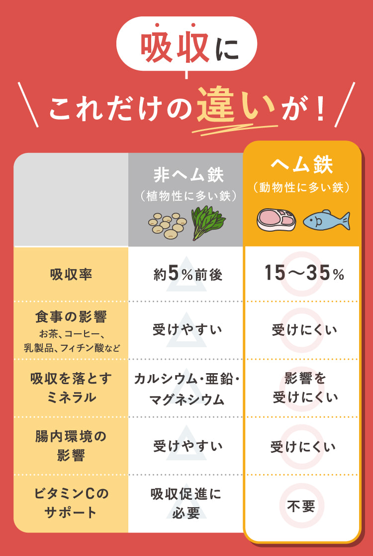 吸収にこれだけの違いが！