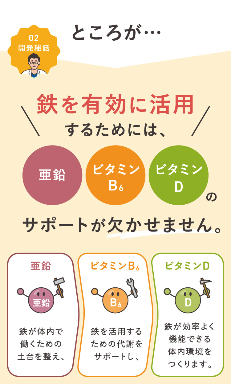 鉄を有効に活用するためには、亜鉛・ビタミンB6・ビタミンDのサポートが欠かせません。