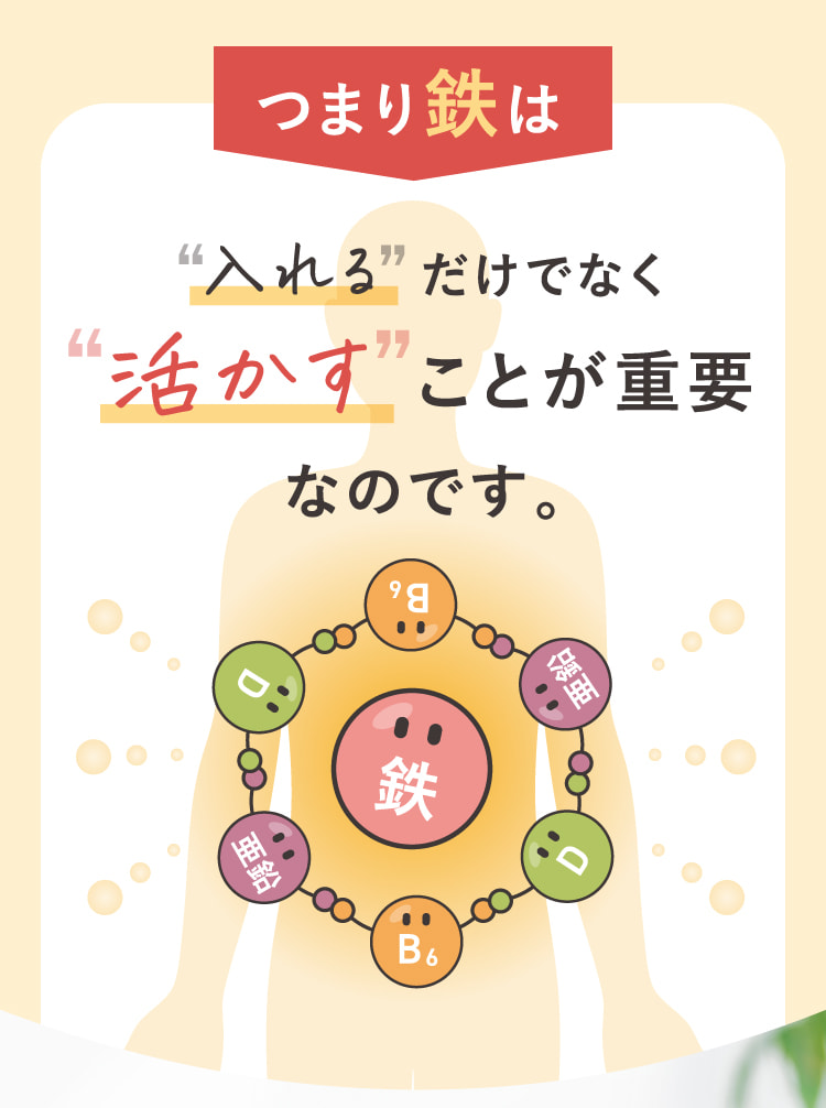 つまり鉄は入れるだけでなく活かすことが重要なのです。