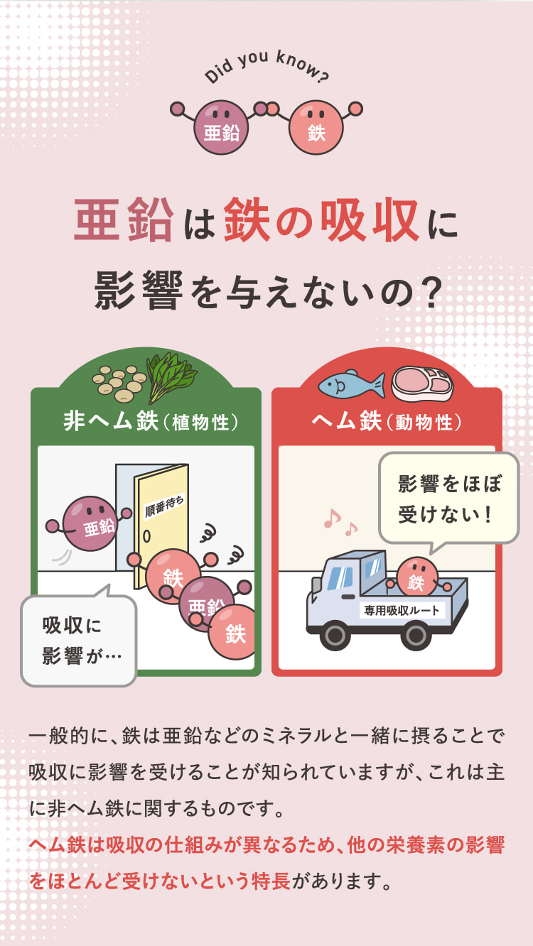 亜鉛は鉄の吸収に影響を与えないの？