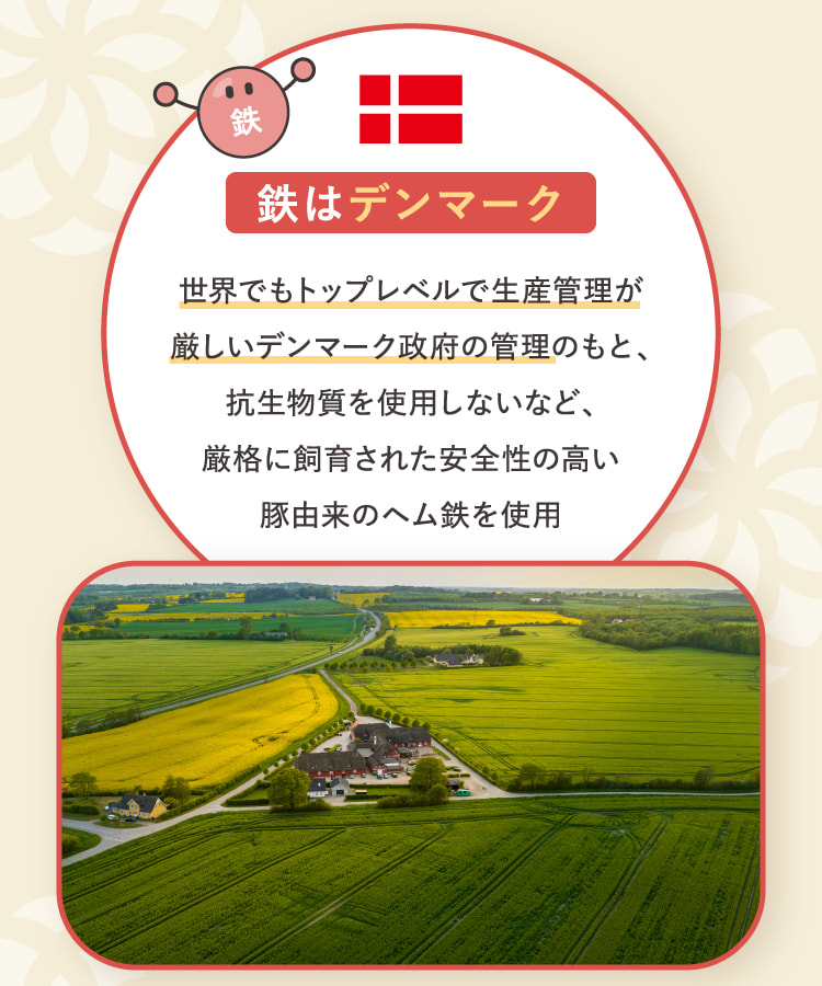 鉄はデンマーク