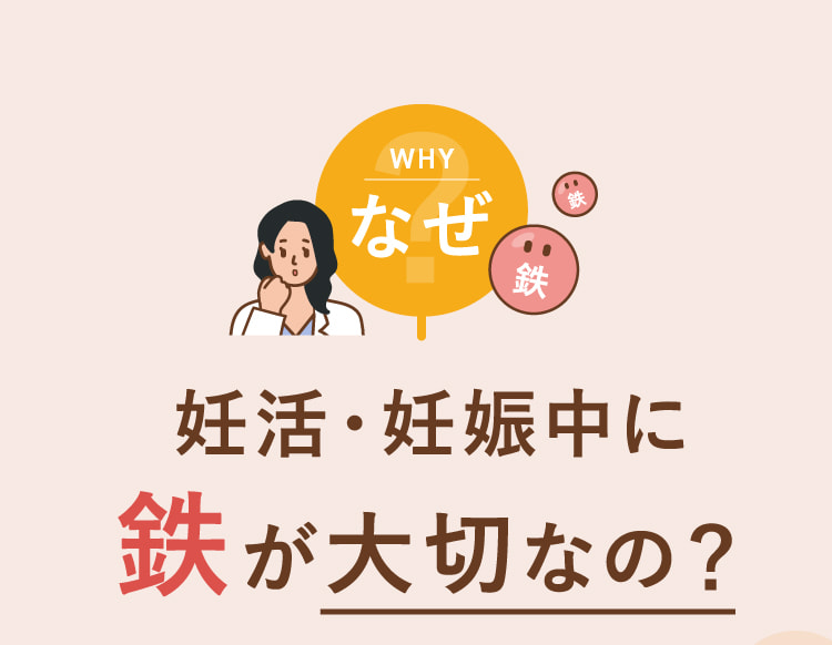 妊活・妊娠中に鉄が大切なの？