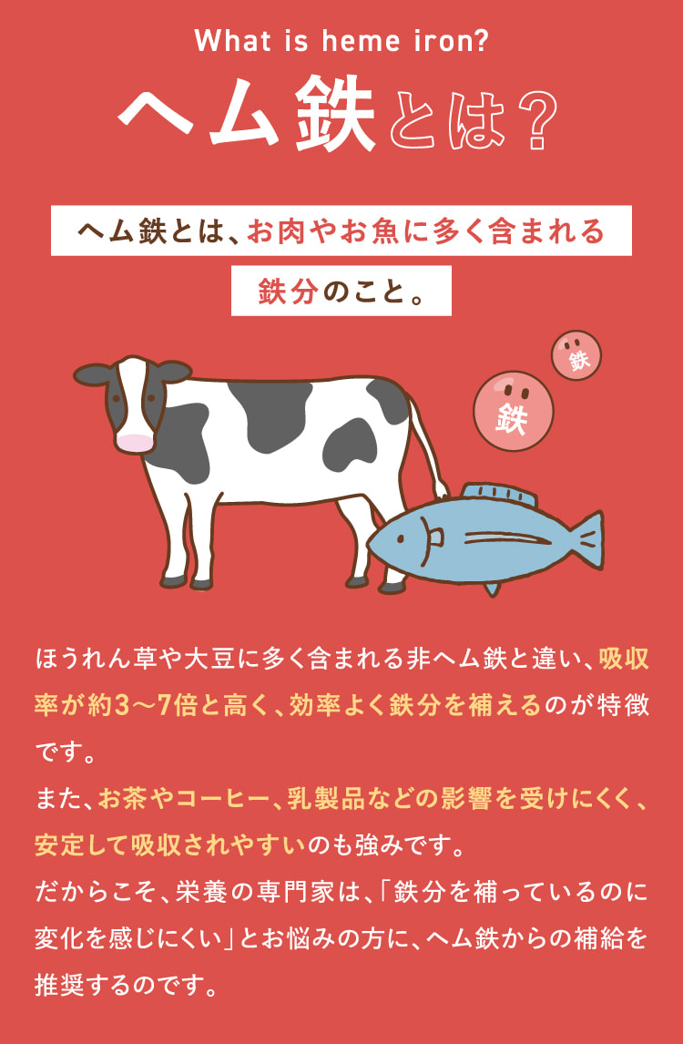 ヘム鉄とは？ヘム鉄とは、お肉やお魚に多く含まれる鉄分のこと。
