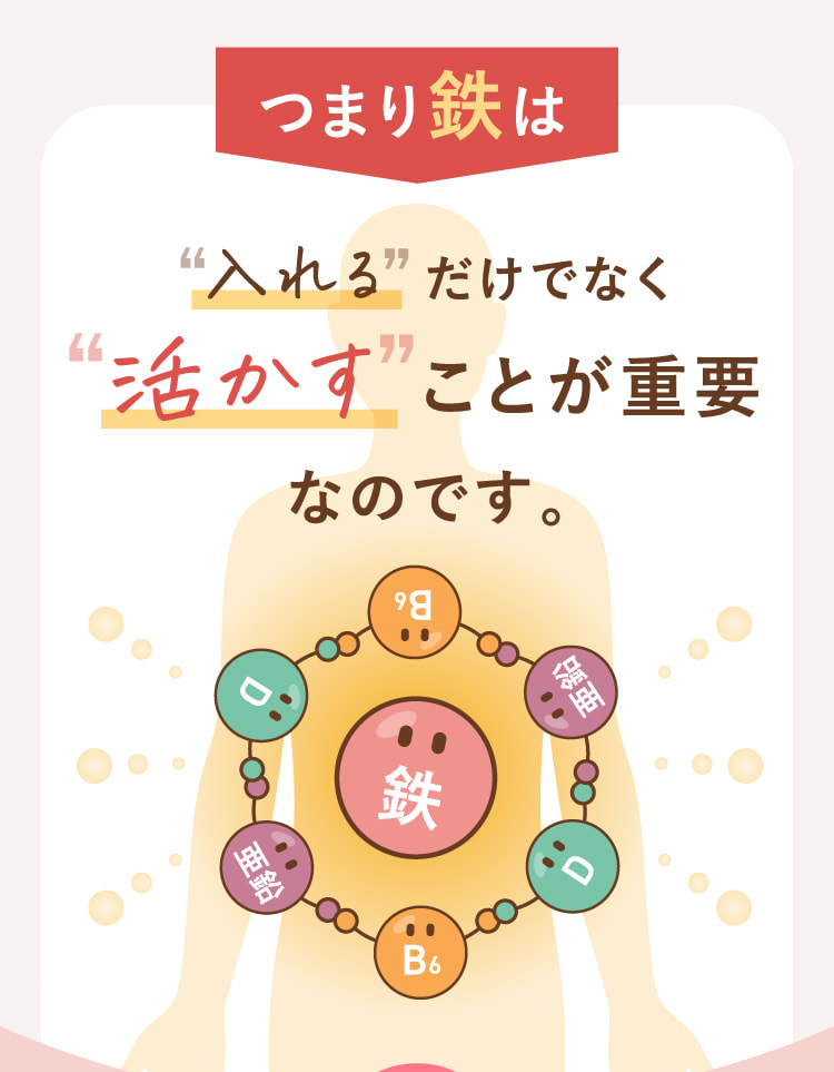 つまり鉄は入れるだけでなく活かすことが重要なのです。