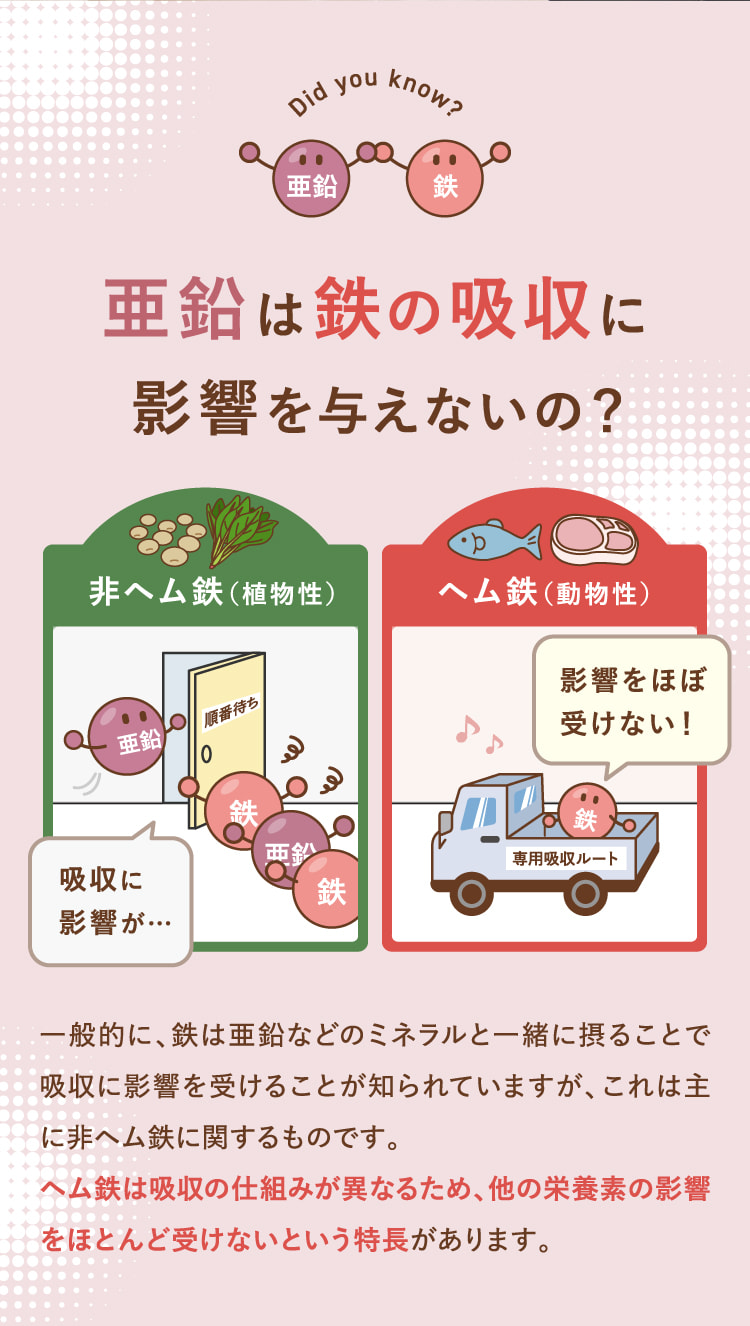 亜鉛は鉄の吸収に影響を与えないの？