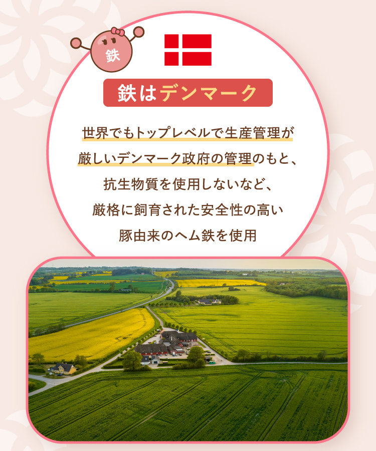 鉄はデンマーク