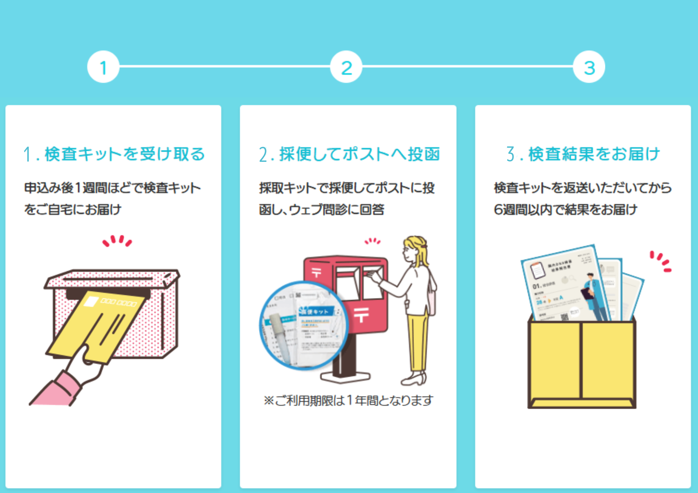 腸内DNA検査 菌ドック ご利用の流れ