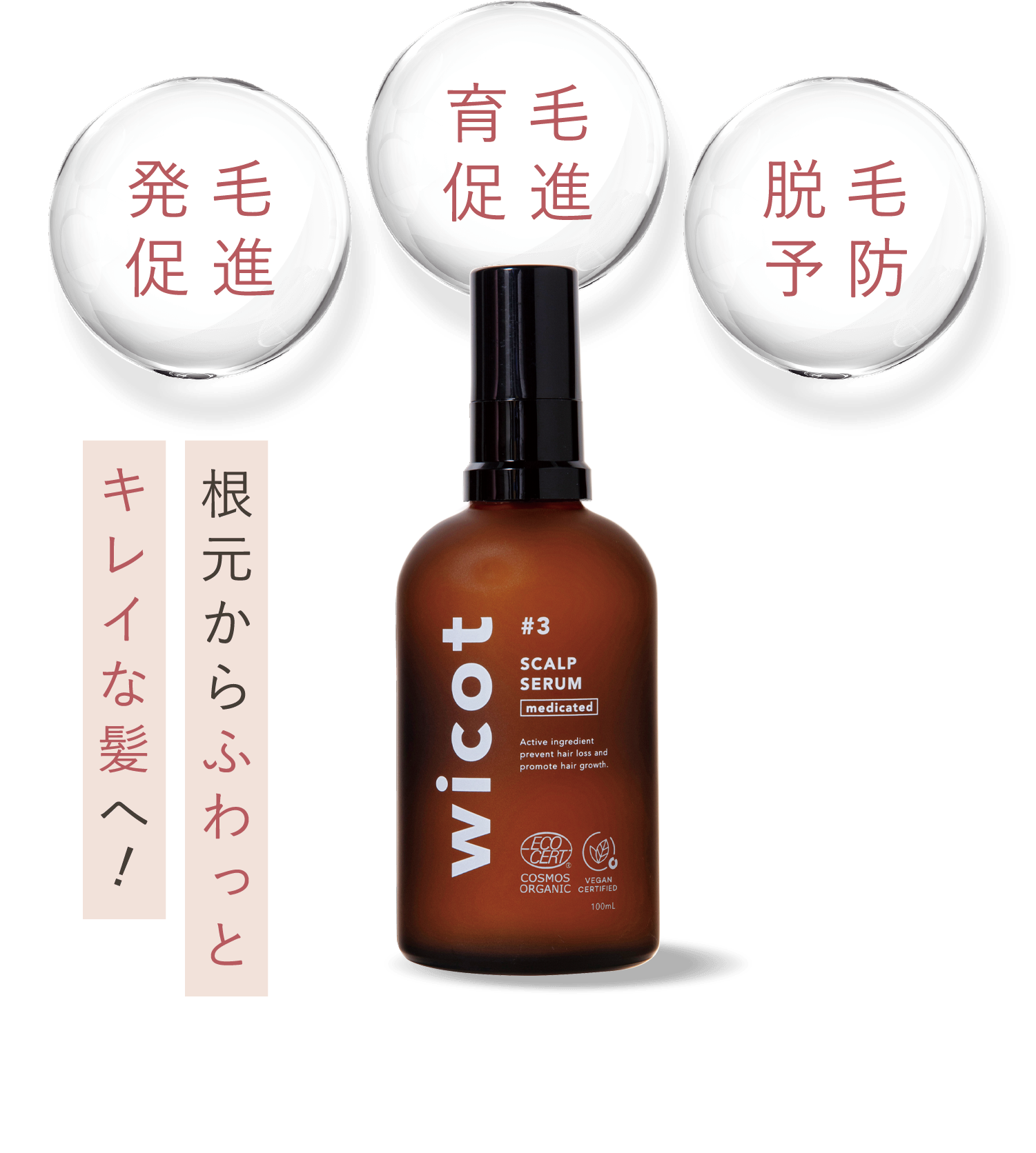 根本からふわっときれいな髪へ