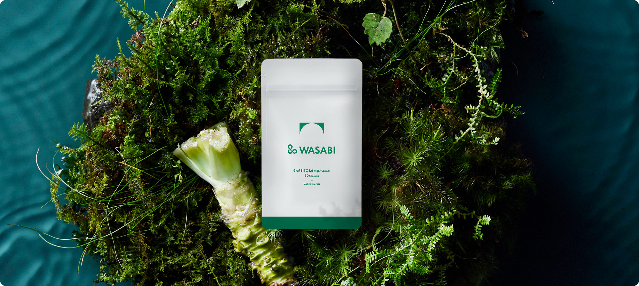 &WASABI(アンドワサビ)