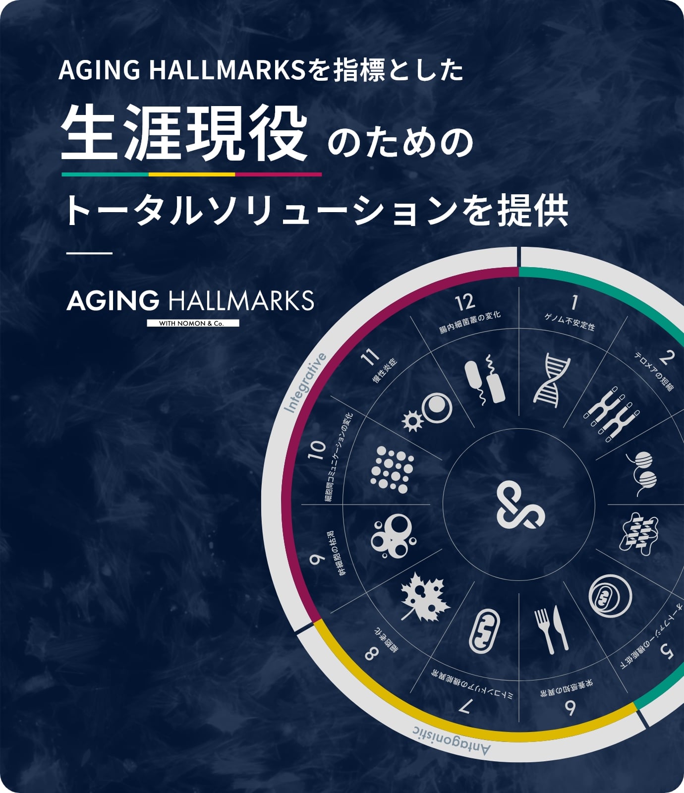 AGING HALLMARKSを指標とした生涯現役のためのトータルソリューションを提供
