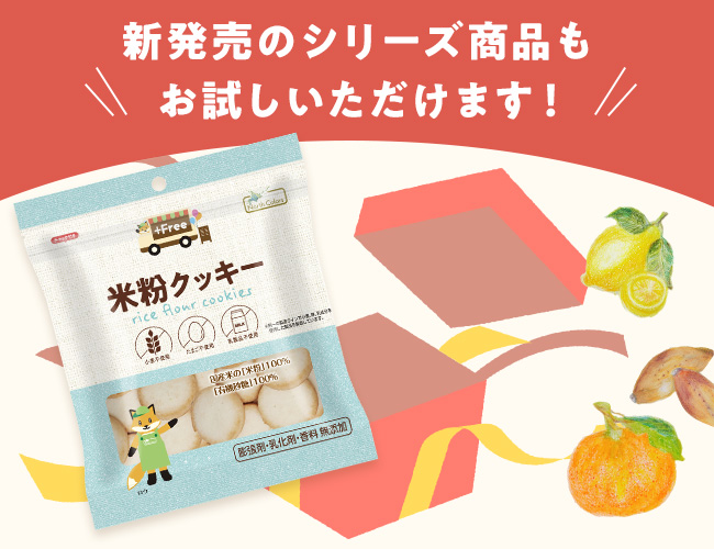 【限定】お帰りキャンペーンBOX