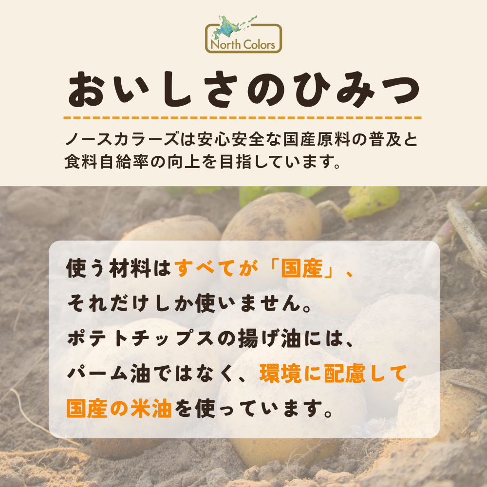 純国産 無添加ポテトチップス 4種食べ比べ 10袋セット（うすしお・のり塩・和風だし・柚子）