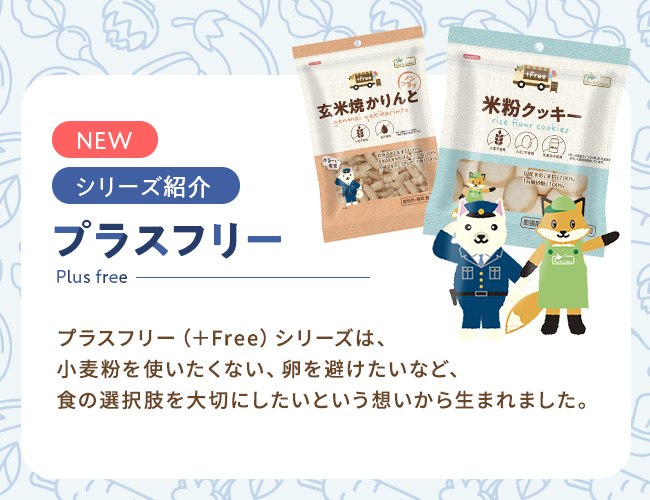 【限定】お帰りキャンペーンBOX