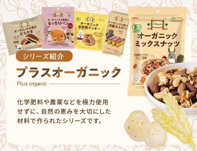 【限定】お帰りキャンペーンBOX