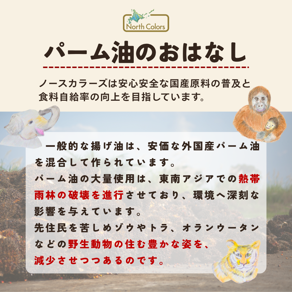 純国産 無添加ポテトチップス 4種食べ比べ 10袋セット（うすしお・のり塩・和風だし・柚子）