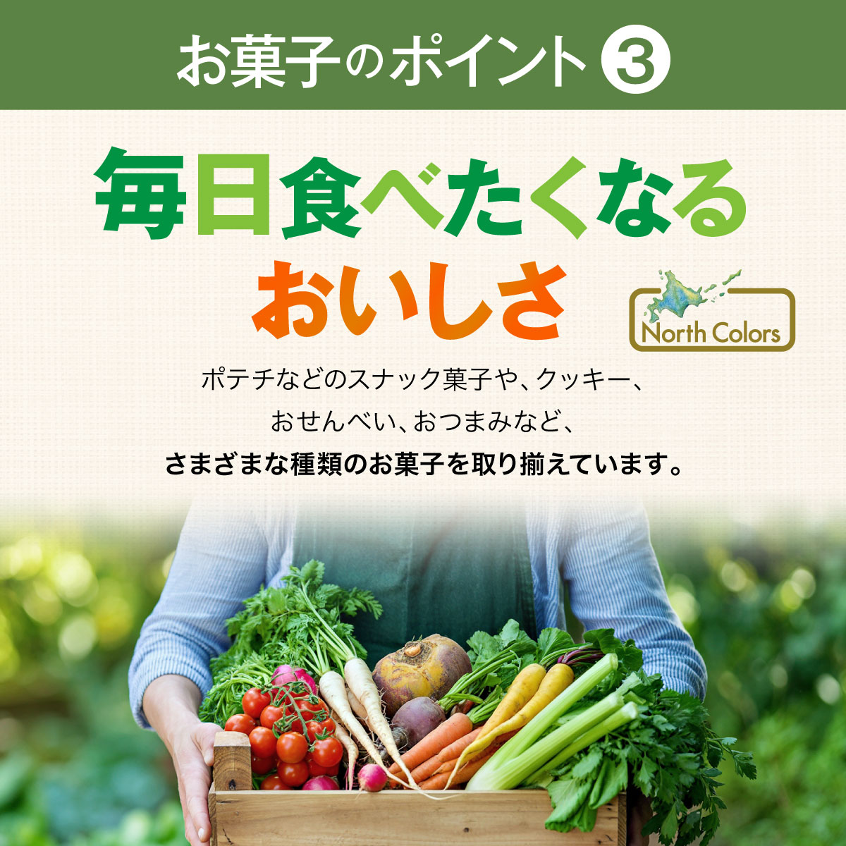 【初回限定】ノースカラーズ 6点お試しセット