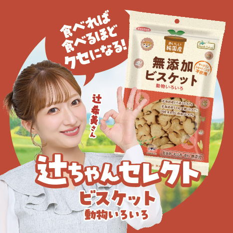 辻ちゃんセレクトビスケット