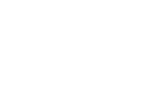 育毛剤などの成分がより浸透しやすい頭皮環境を作ります。