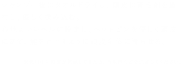 髪を溶かすように頭皮全体に滑らせる。