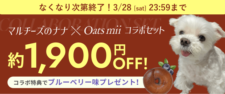 オートミールの栄養そのまま！ヘルシーなのにもっちり美味しい。オートミールベーグル Oats mii