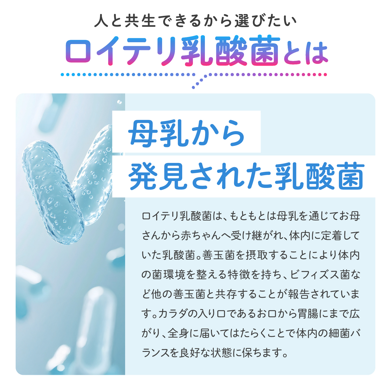 ロイテリ乳酸菌ヨーグルト