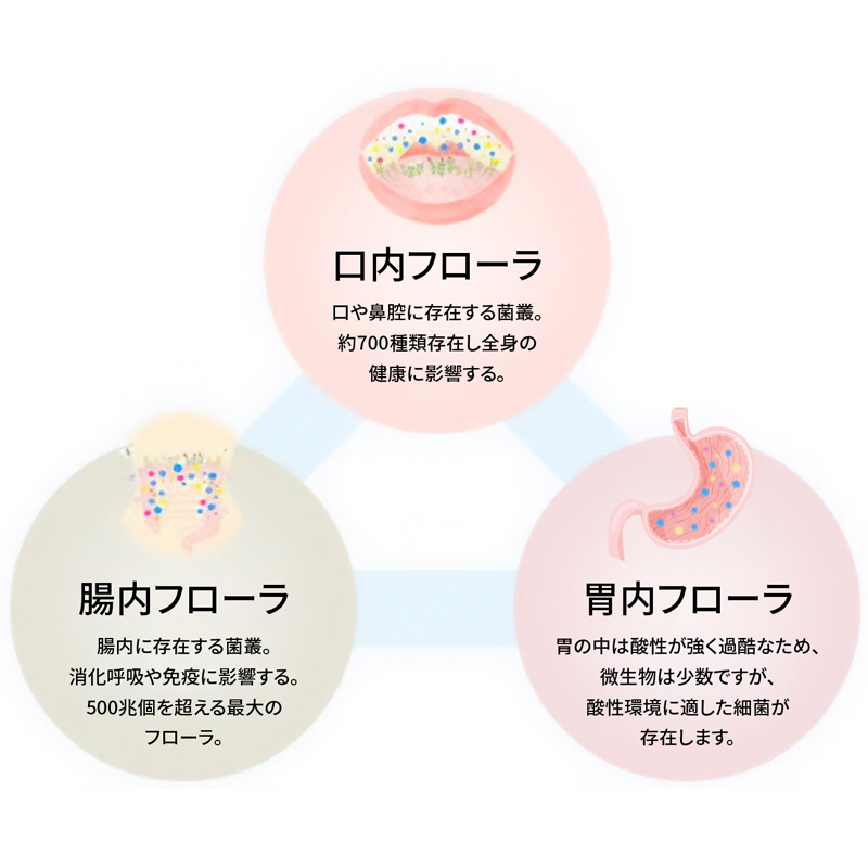 ロイテリヨーグルト8個入【イベント限定】※送料無料
