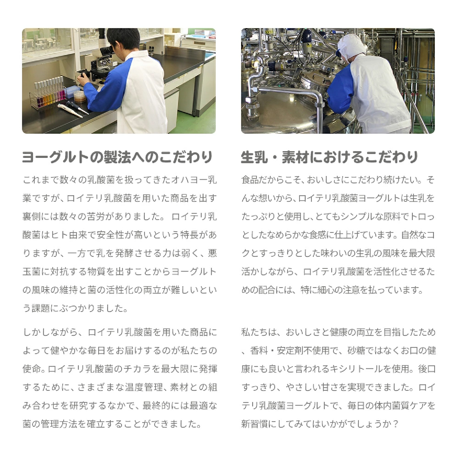 広告LP_ロイテリ乳酸菌ヨーグルト