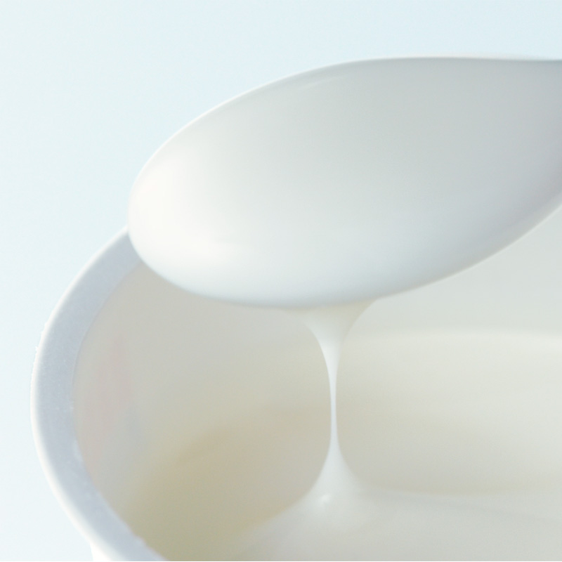 ロイテリ乳酸菌ヨーグルト1ケース(8個入り)【医師協組合員様】※送料無料