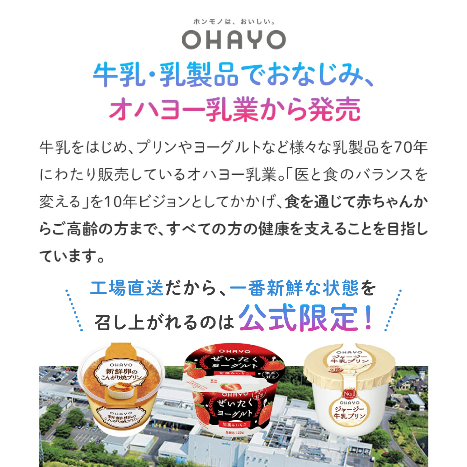 ロイテリ乳酸菌ヨーグルト