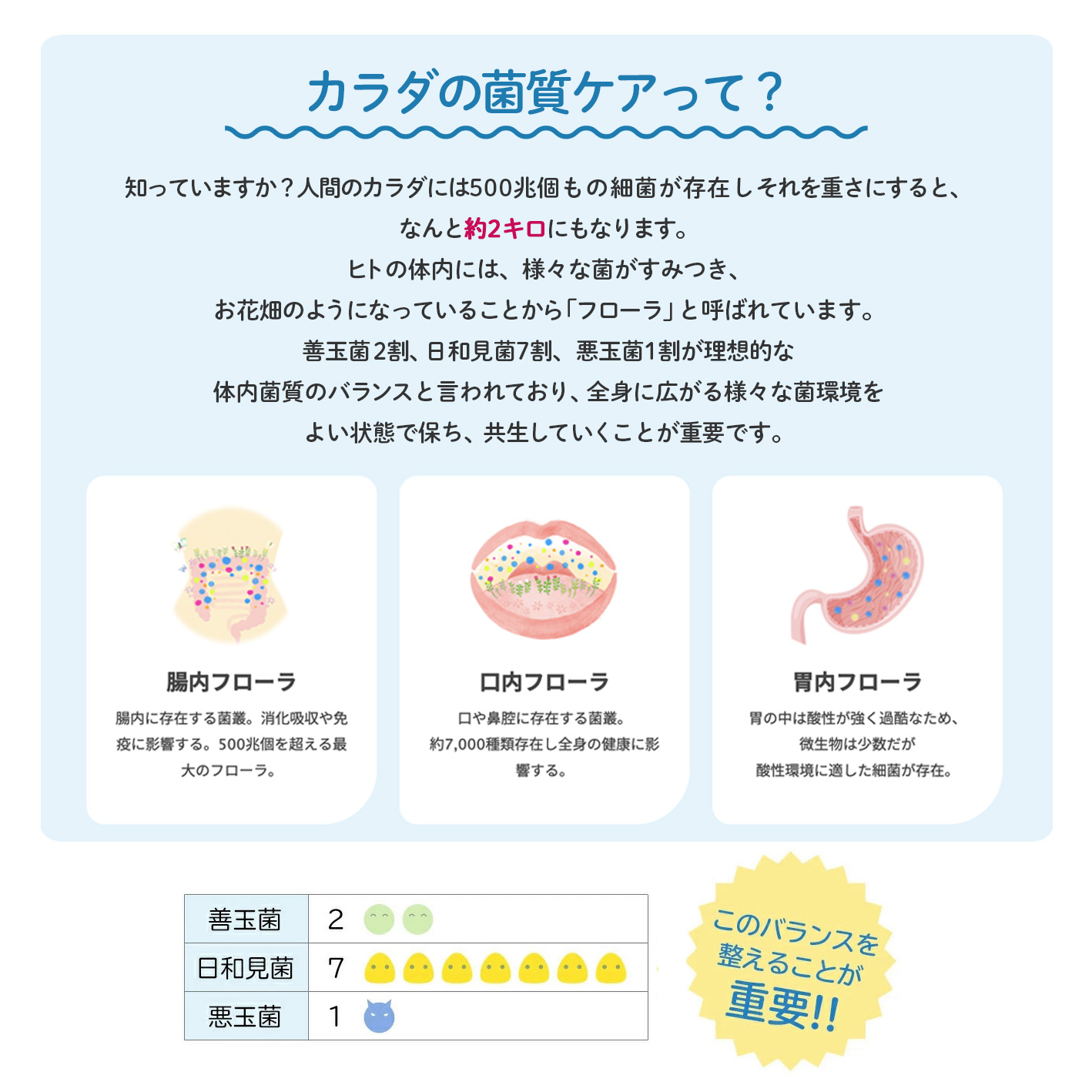 【9月23,24,25日限定】ロイテリ菌サプリ 4種アソートセット 