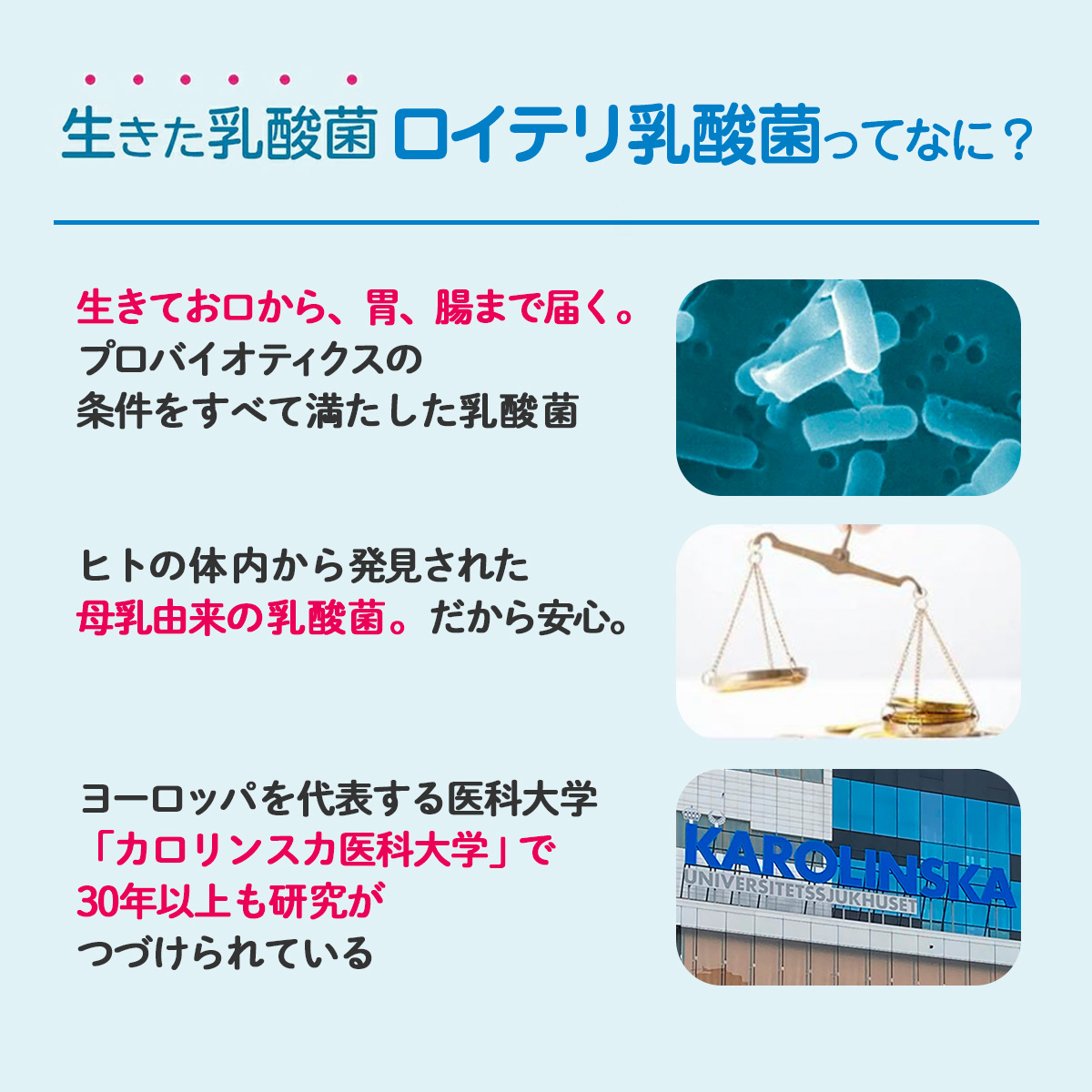 【定期便】ロイテリ 乳酸菌サプリメント＋VitaminD3（ビタミンD3）30粒入 WEB（初回500円,2回目以降20％オフ）