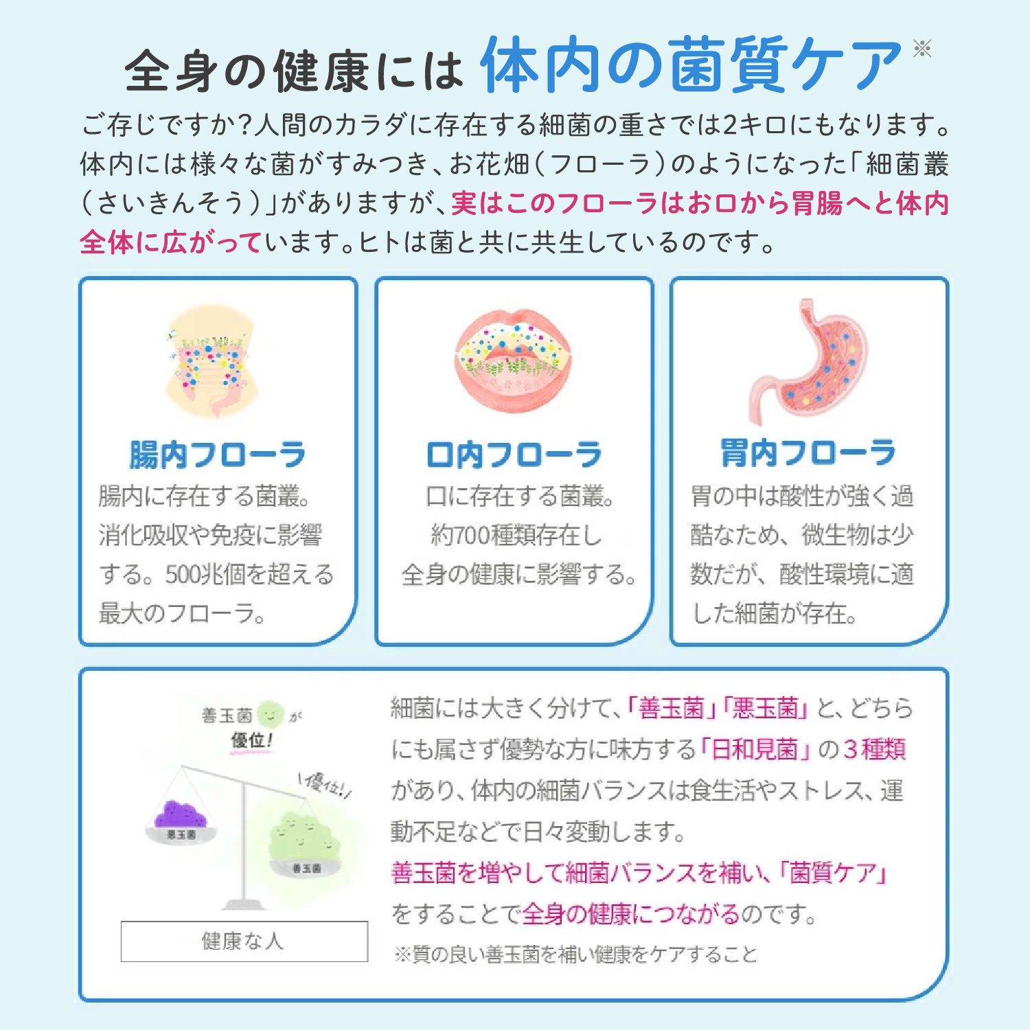 ロイテリ乳酸菌ヨーグルト