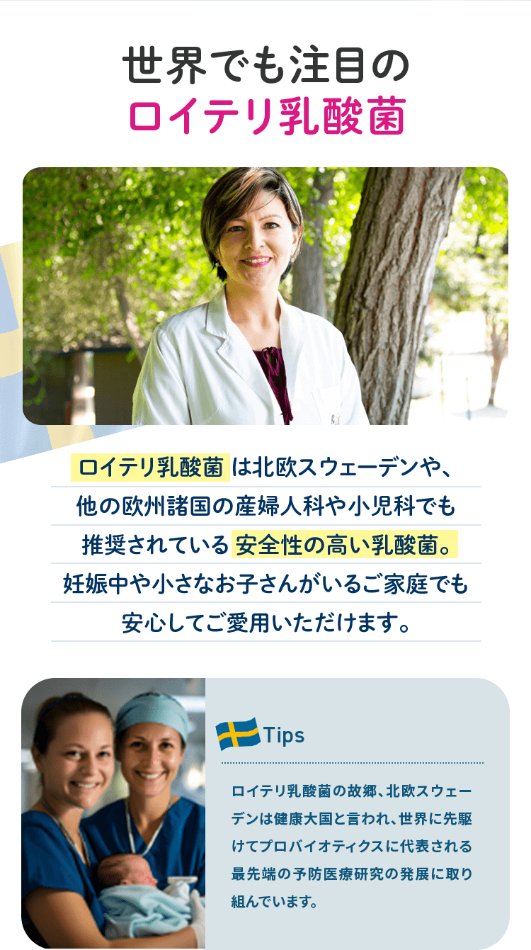 世界でも注目のロイテリ乳酸菌
