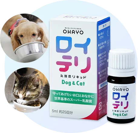 犬猫用 ロイテリ乳酸菌リキッド パッケージ写真
