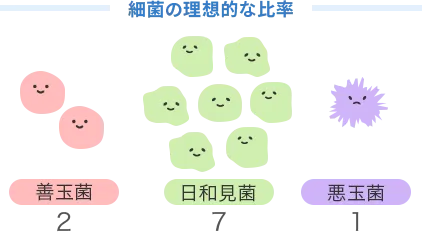 細菌の理想的な比率 善玉菌2:日和見菌7:悪玉菌1