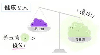 細菌の理想的な比率 善玉菌10：1悪玉菌