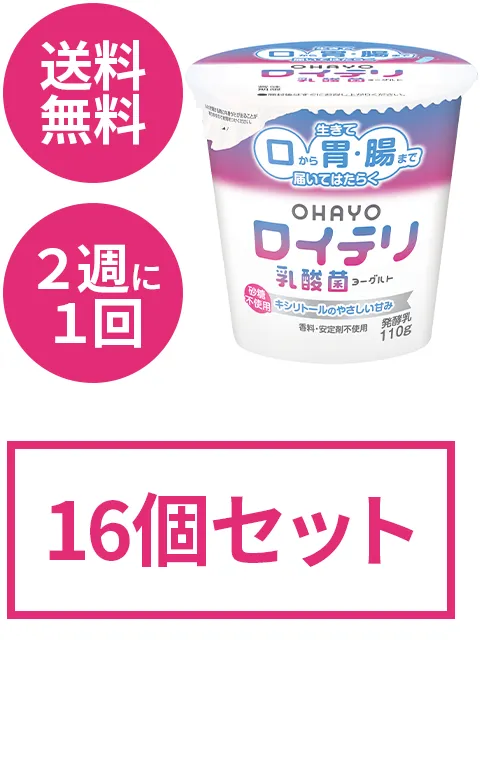 ロイテリヨーグルト定期便2ケース（16個入り）