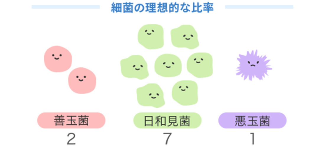 食べ物や生活習慣を見直して、腸内環境を整える!